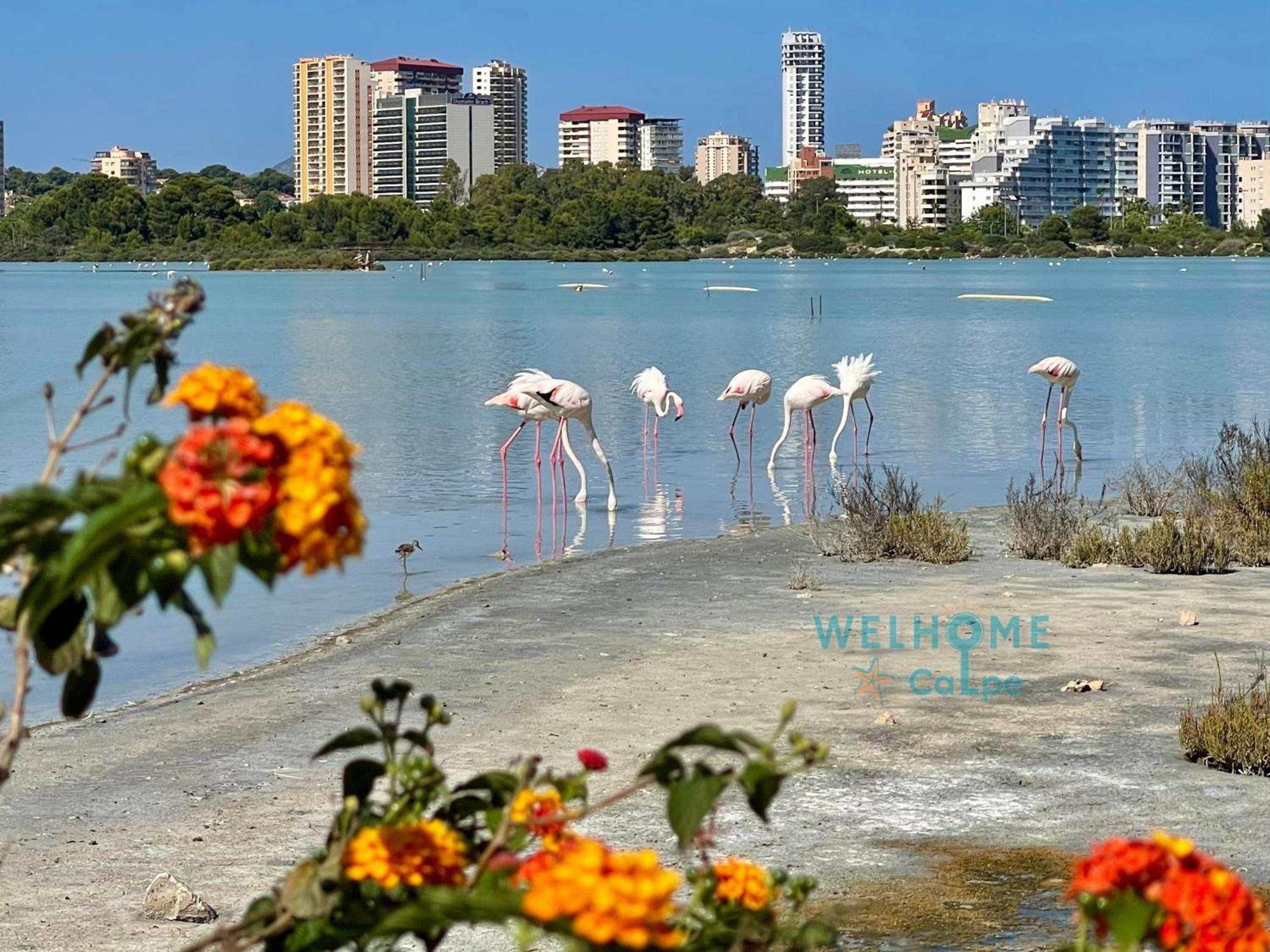 Acuarela Estudio, 1ª Linea, Vista Al Mar, Piscina Калпе Екстериор снимка
